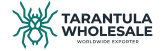 Tarantula Wholesale - home page